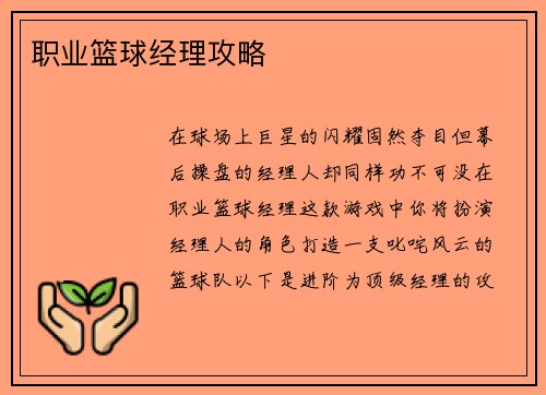 职业篮球经理攻略